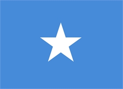 [ai] A blue flag featuring a large white five-pointed star in the center.